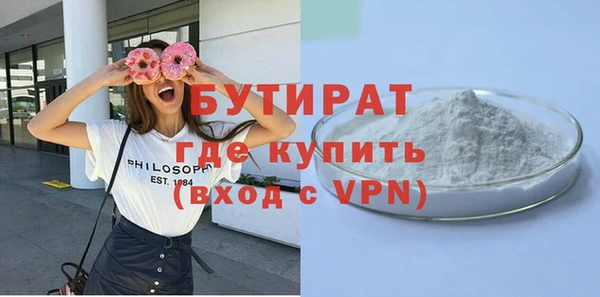 индика Козельск
