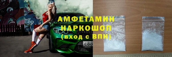 индика Козловка