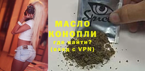 индика Козловка