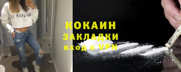 индика Козельск