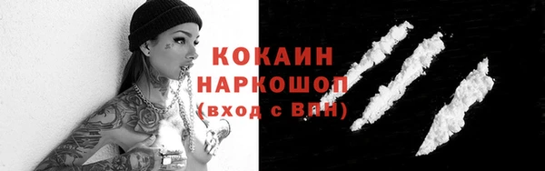 индика Козельск