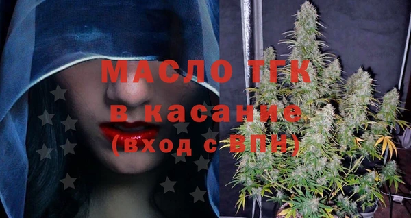 индика Козельск