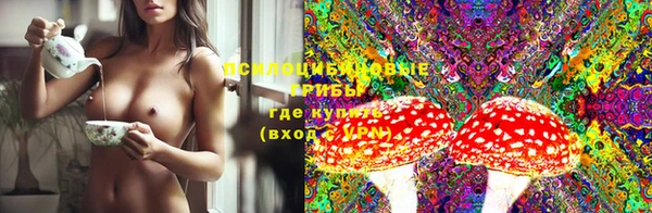 гидропоника Киренск