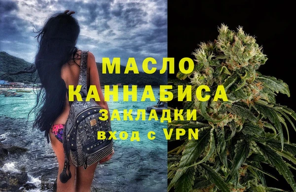 индика Козловка