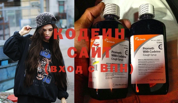 PSILOCYBIN Кодинск