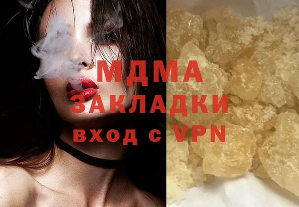 индика Козловка