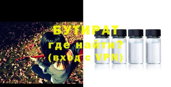 индика Козельск