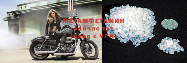 индика Козельск