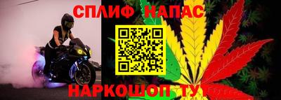 стафф Аргун