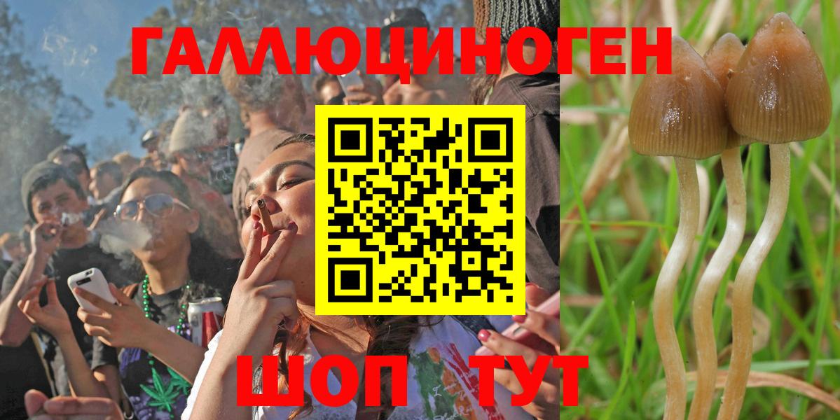 Галлюциногенные грибы GOLDEN TEACHER Белгород